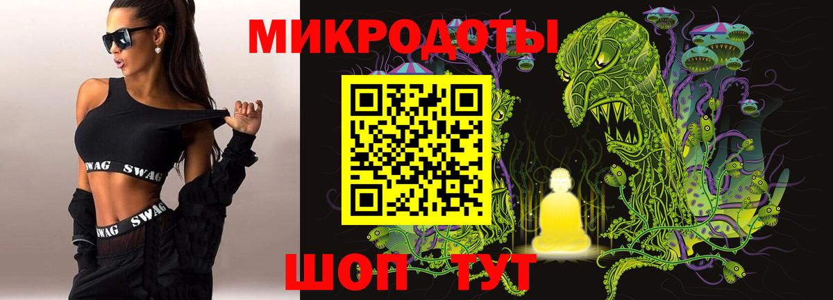Галлюциногенные грибы Psilocybe Нягань